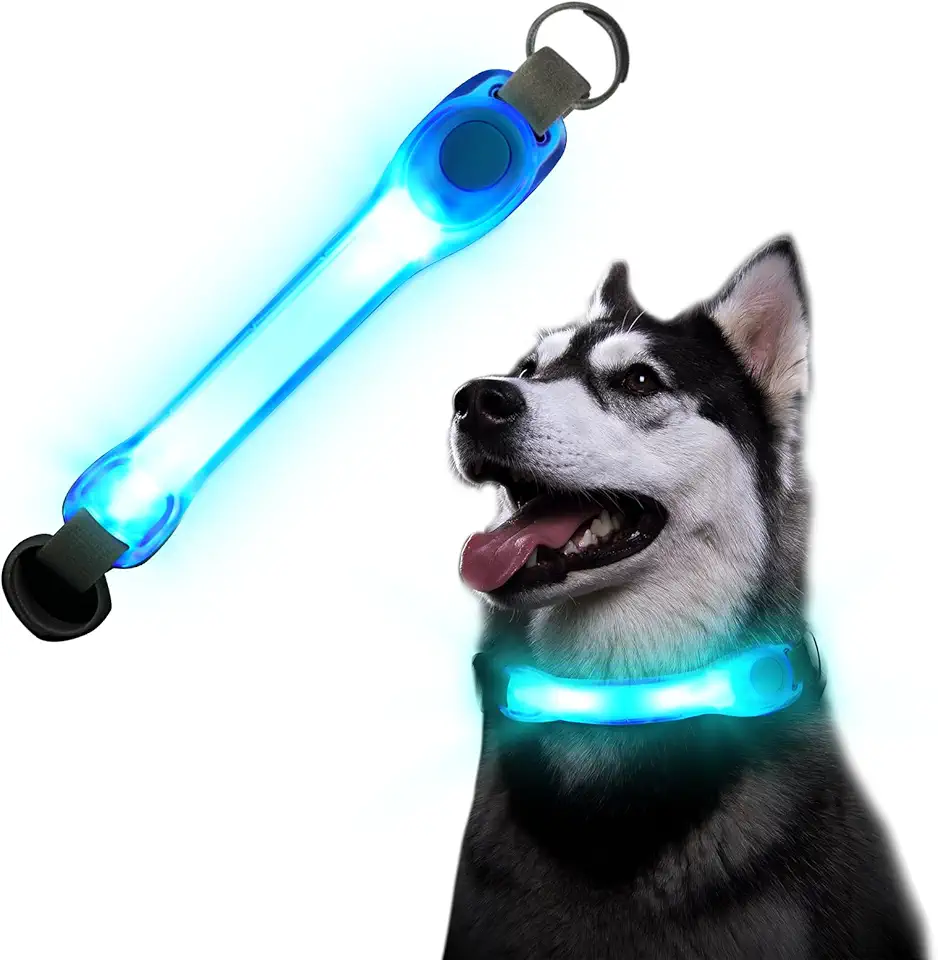 Collier lumineux flintronic pour chiens et chats