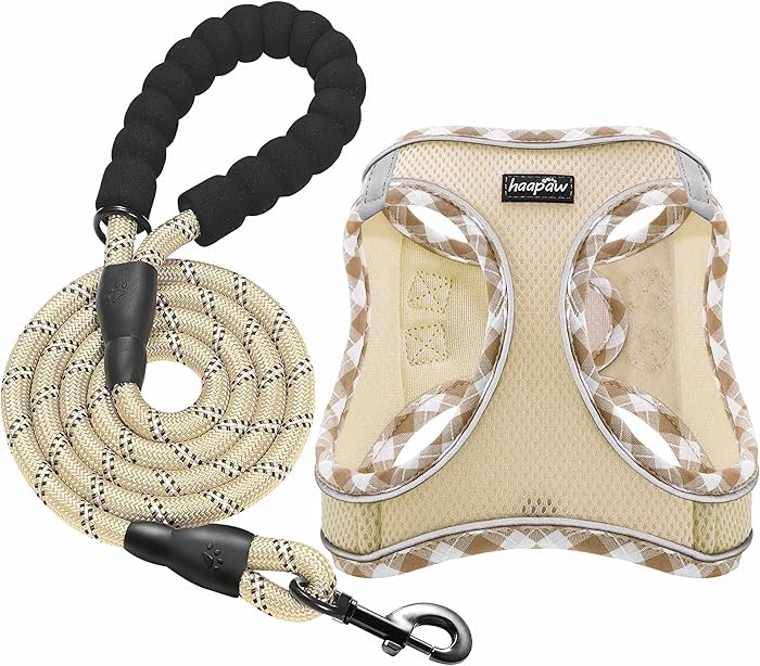 haapaw Dog Harness and Leash Set