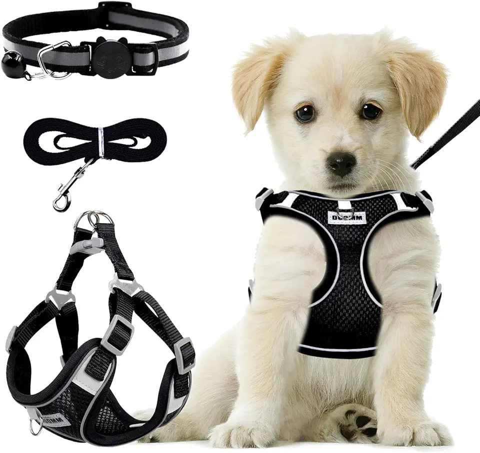 RAFİYU Harnais Anti-Traction Chien Taille M avec Laisse