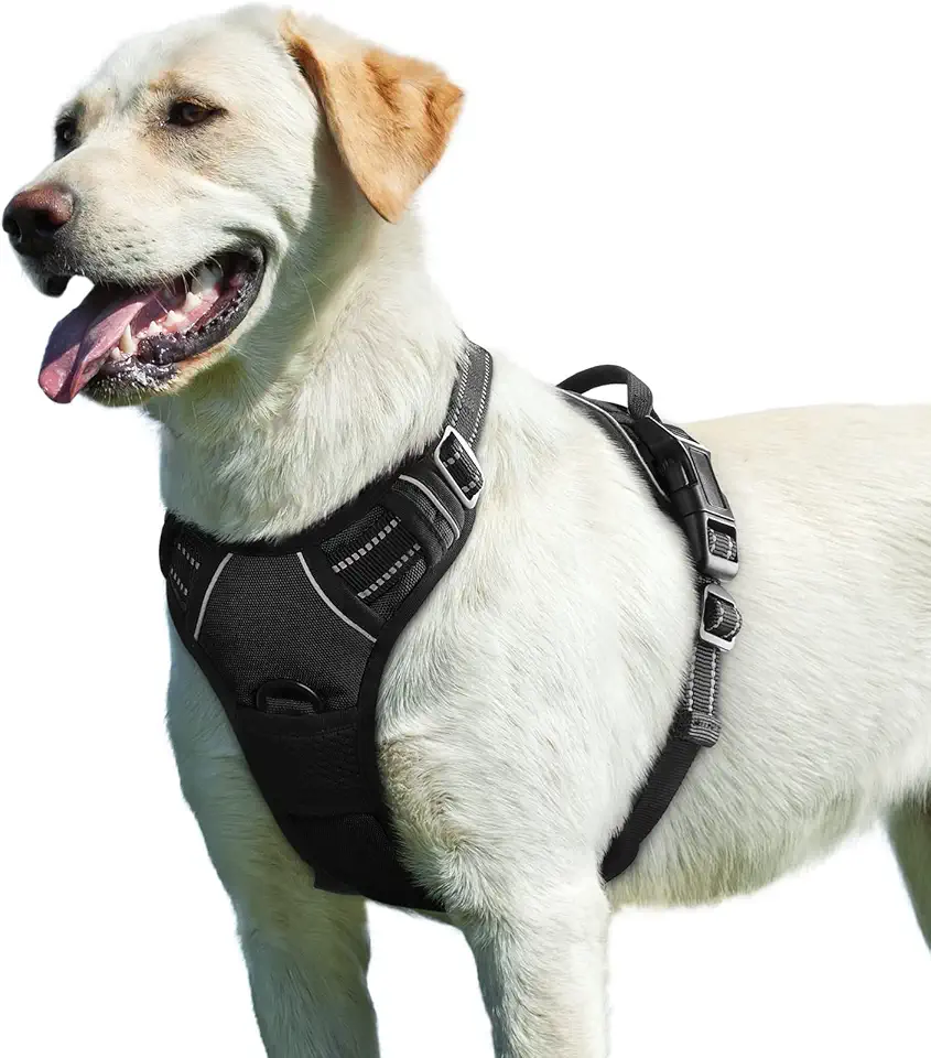 Harnais Eagloo pour Chien Taille L Noir