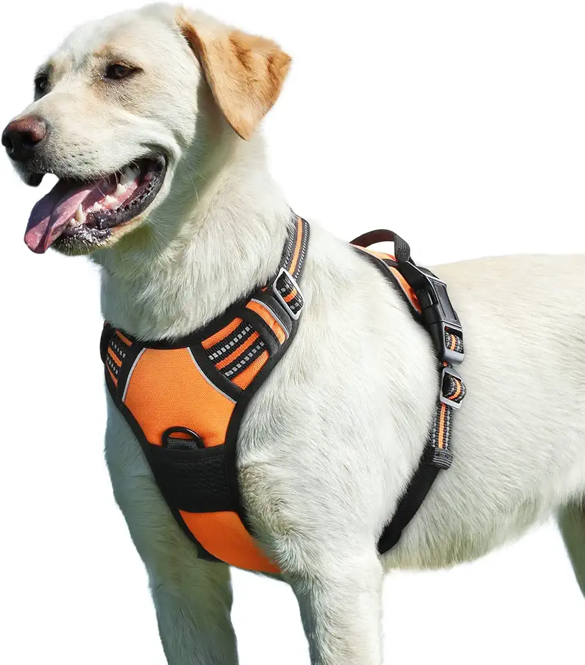Eagloo Dog Harness Orange L