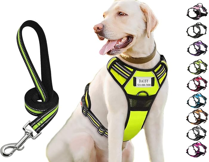 Moonpet Custom No Pull Dog Harness Leash Set