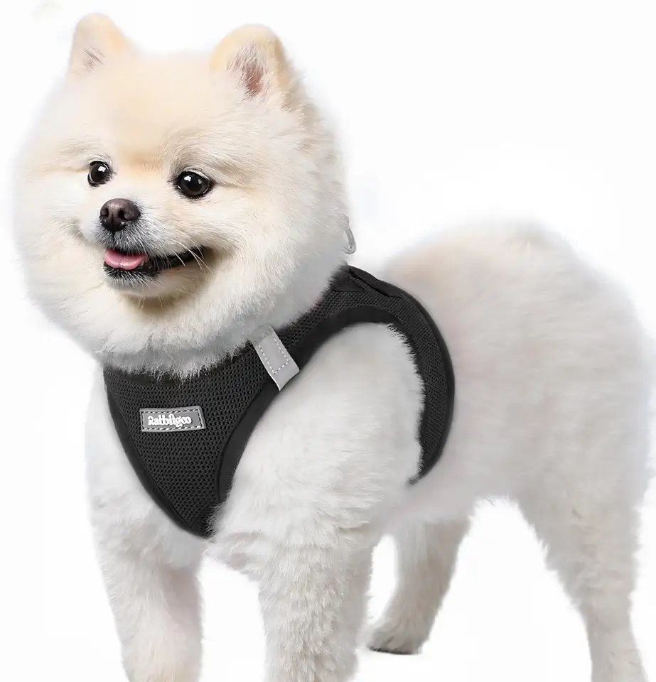 rabbitgoo Dog Harness Small Size Black S