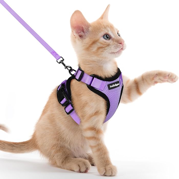 Harnais rabbitgoo: sécurité et confort pour les promenades nocturnes
