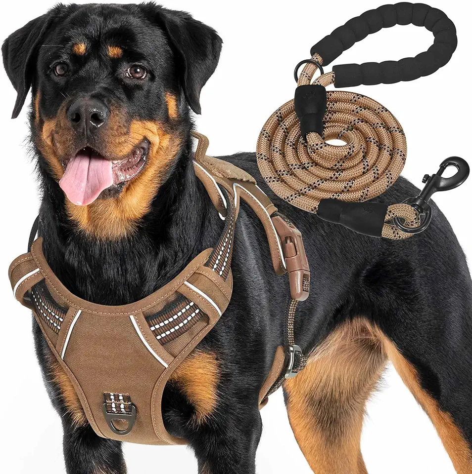 Haapaw Heavy Duty Tactical Dog Harness