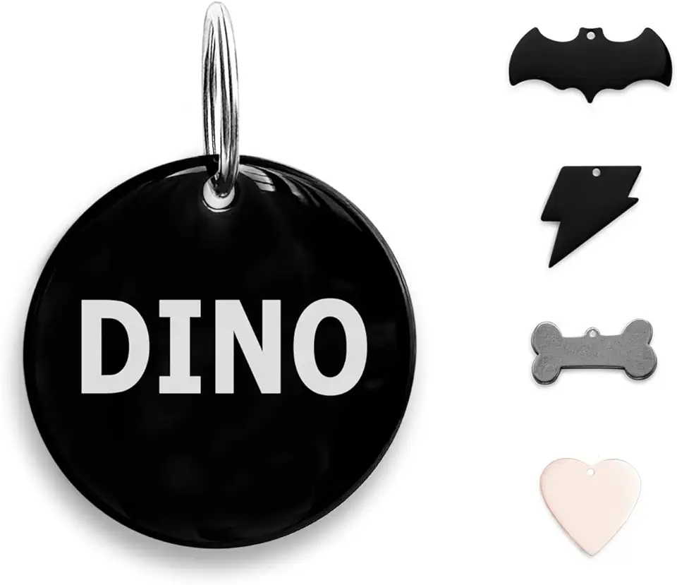 316 Stainless Steel Surgical Grade Address Holder for Cat Dog Tag Identification Collar Name Accessories Easter Personalized Pet Signage Stainless Steel