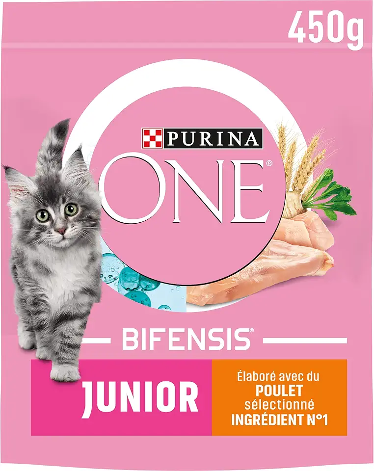 PURINA ONE Junior Benefits Kitten up to 12 months and Gestation Cats Dry Food Chicken Bag 450g